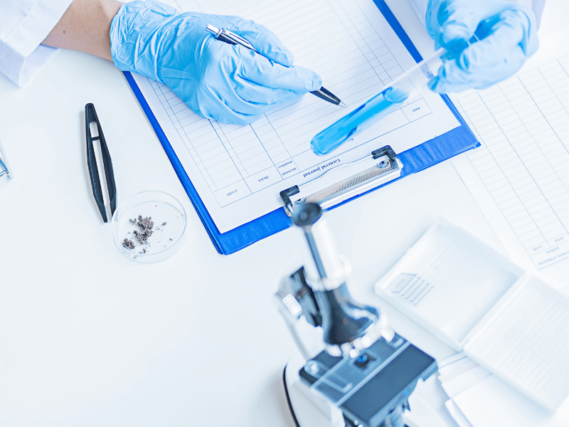 Salidas del Bachillerato Cient&iacute;fico: Descubre todas las opciones