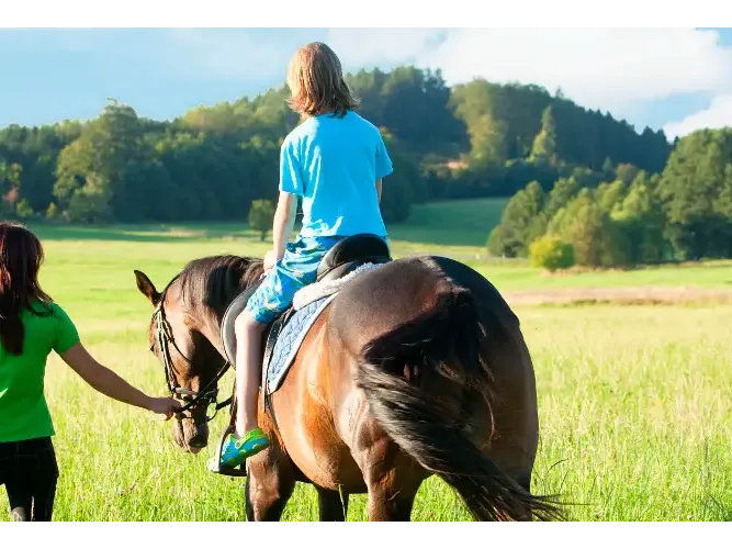 Gu&iacute;a ecuestre, &iquest;Cu&aacute;l son las tareas?