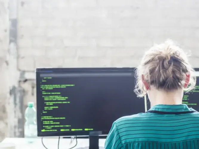 Desarrollador de Software: &iquest;Qu&eacute; es?