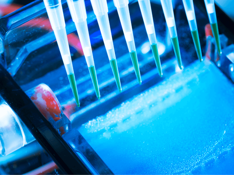 Investigando los diferentes tipos de Electroforesis