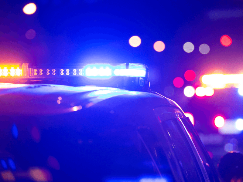 &iquest;Qu&eacute; FP estudiar para Polic&iacute;a? &iexcl;Desc&uacute;brelas todas!