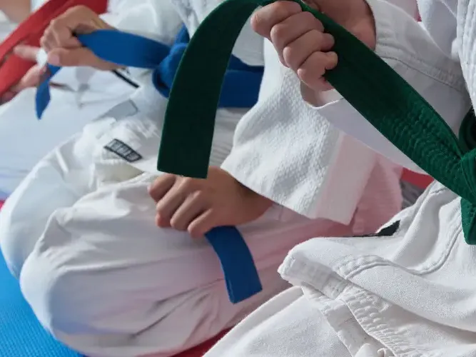 Artes Marciales Mixtas o MMA