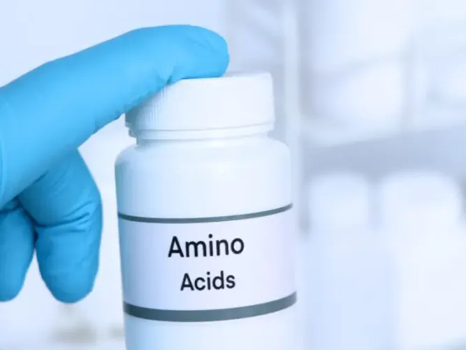 Amino&aacute;cidos: &iquest;Qu&eacute; es?