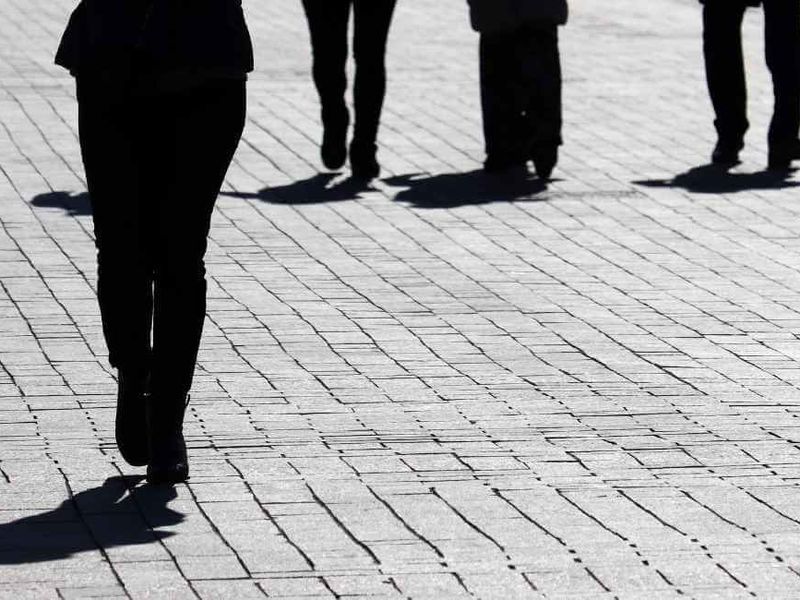 Carrera de Sociolog&iacute;a o Grado De FP: &iquest;Cu&aacute;l elegir?