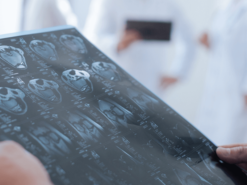 &iquest;D&oacute;nde y c&oacute;mo estudiar radiolog&iacute;a?