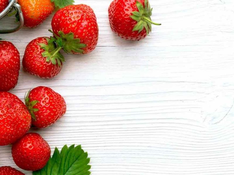 Extracci&oacute;n de ADN de Fresa, por Leticia y Estefan&iacute;a