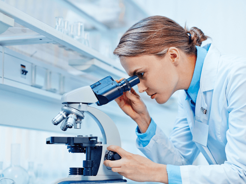 Determinaci&oacute;n de &Aacute;cido &Uacute;rico en orina y sangre mediante Espectrofotometr&iacute;a