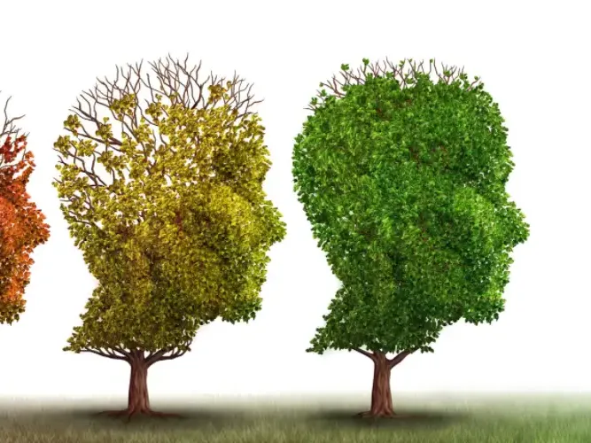 La teor&iacute;a de Piaget: Resumen del desarrollo cognitivo